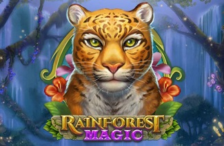 rainforest magic play n go